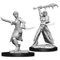 D&D Nolzurs Marvelous Unpainted Minis: Female Human Rogue