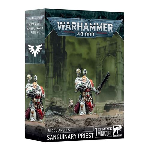 41-48 Blood Angels: Sanguinary Priest