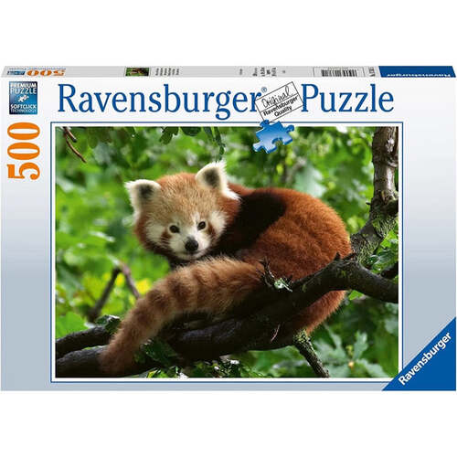 Ravensburger: Cute Red Panda Photo Puzzle 500pc