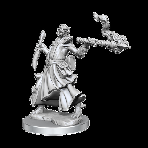 Dungeons & Dragons Frameworks: Dragonborn Sorcerer Female