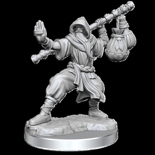 Dungeons & Dragons Frameworks: Human Monk, Male (1)