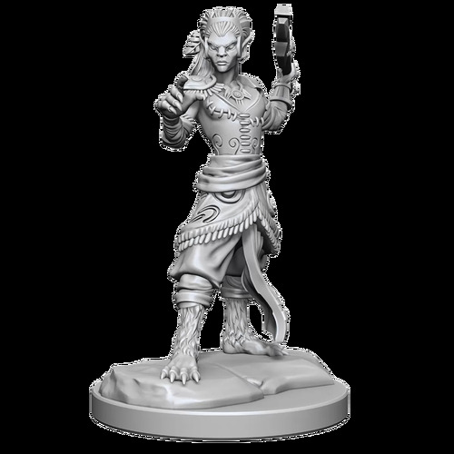 D&D Nolzurs Marvelous Unpainted Minis: Shifter Fighter