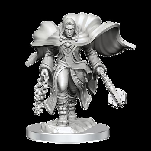 D&D Nolzurs Marvelous Unpainted Minis: Aasimar Cleric Male