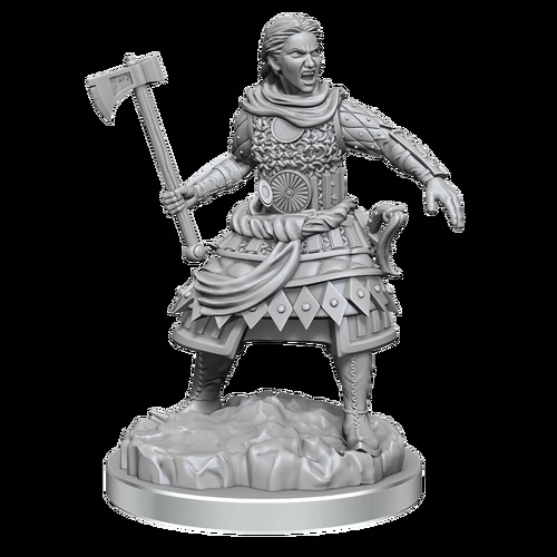 D&D Nolzurs Marvelous Unpainted Minis: Human Fighters