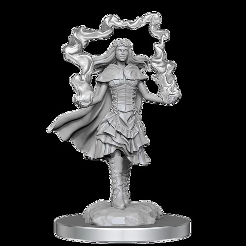 D&D Nolzurs Marvelous Unpainted Minis: Dark Spellcaster & Flameskulls