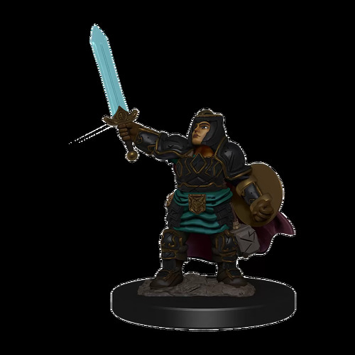 D&D Premium Painted Figures Dwarf Paladin Female